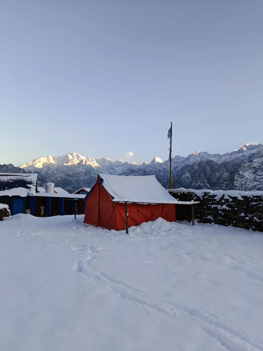 Himalayanbuddhaadventureaulicamp Hotel Joshimath Ngoại thất bức ảnh